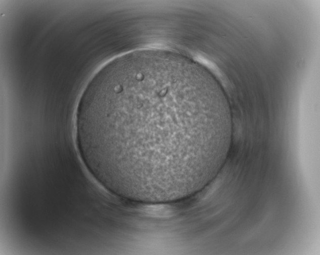 X0000089751479200707051806