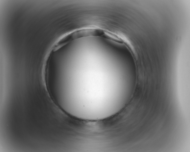 X0000089751480200707051806