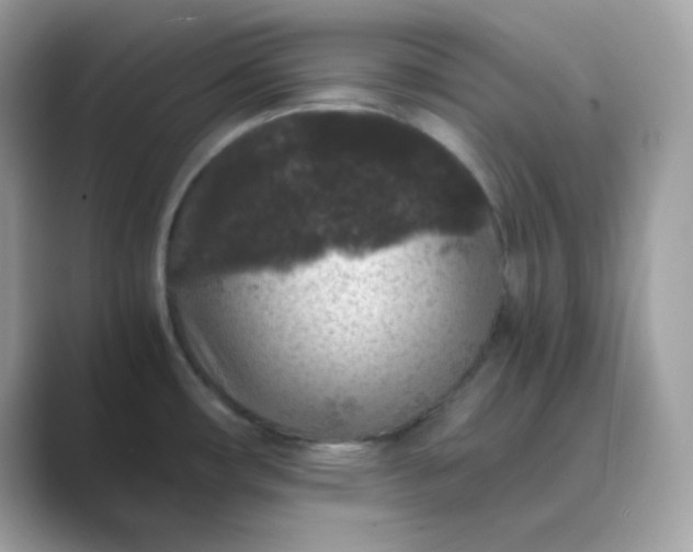 X0000089751482200707051806