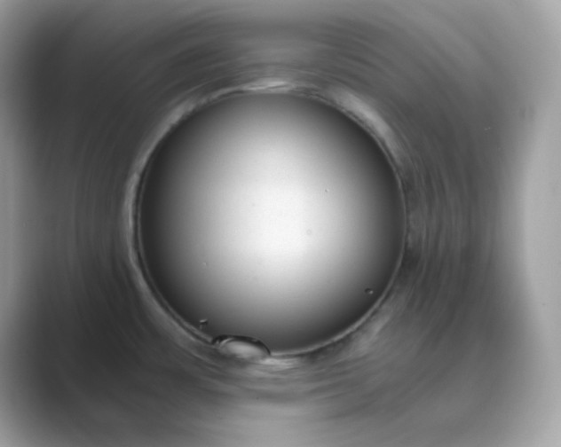 X0000089751483200707051806