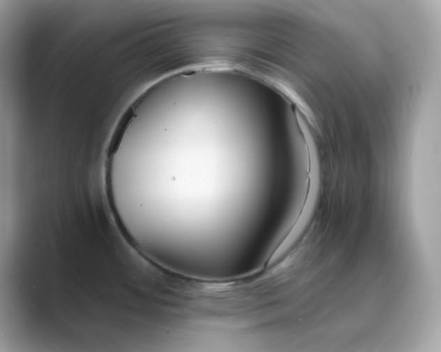 X0000089751484200707051806