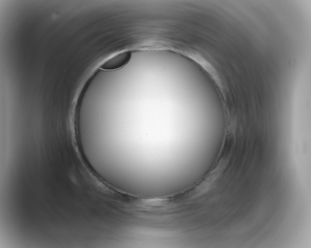 X0000089751486200707051806