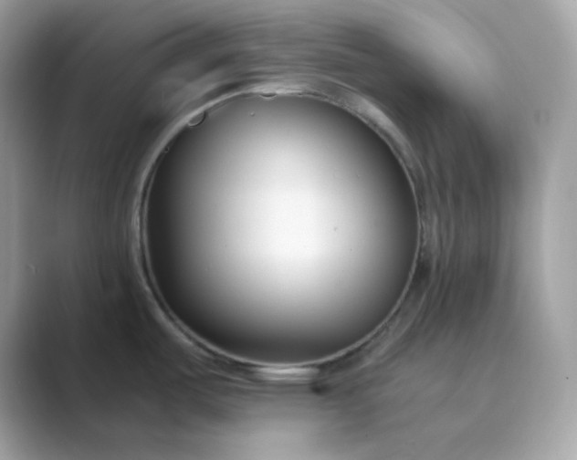 X0000089751487200707051806