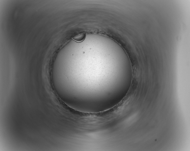 X0000089751489200707051805