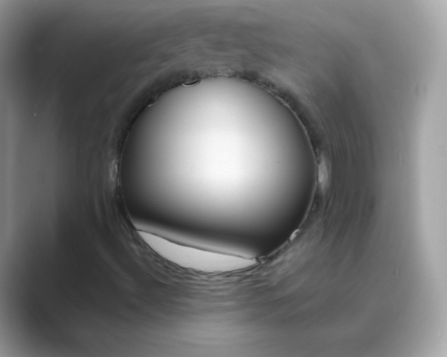 X0000089751492200707051805