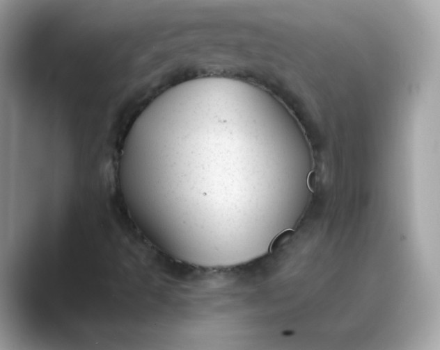 X0000089751493200707051805