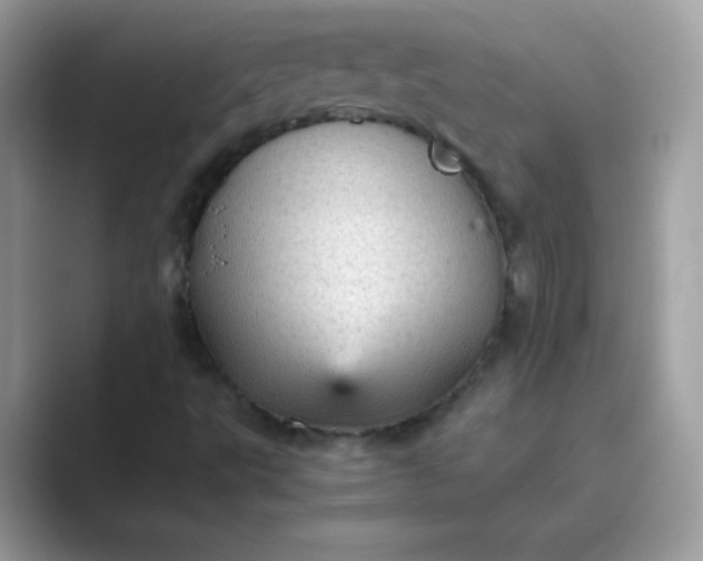 X0000089751495200707051806