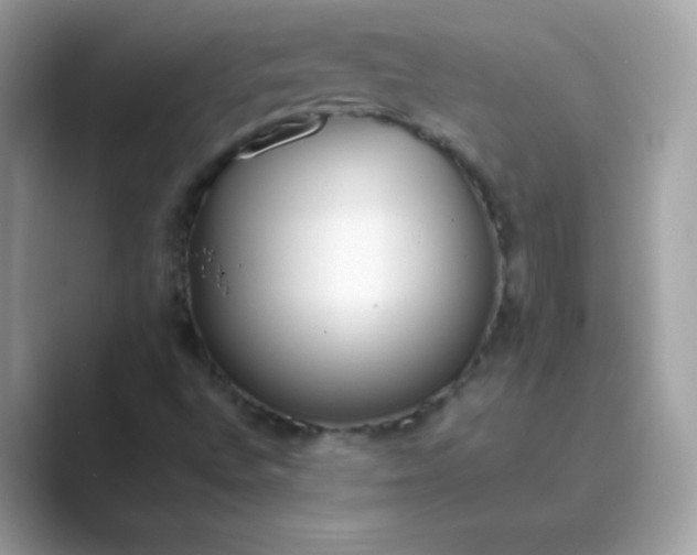 X0000089751496200707051806