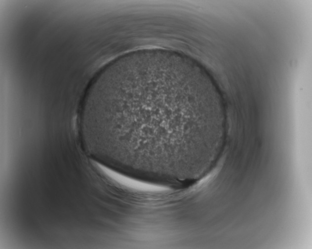 X0000089751497200707051806