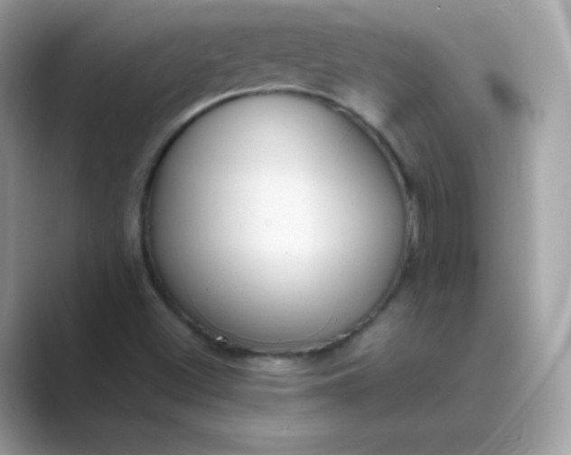 X0000089751500200707051806