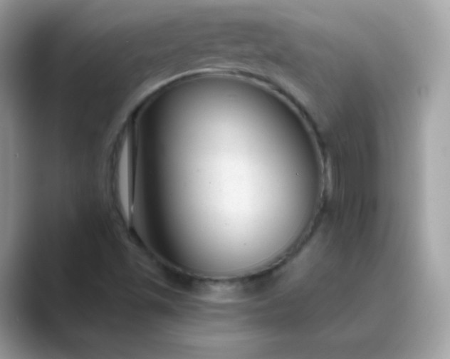 X0000089751501200707051806