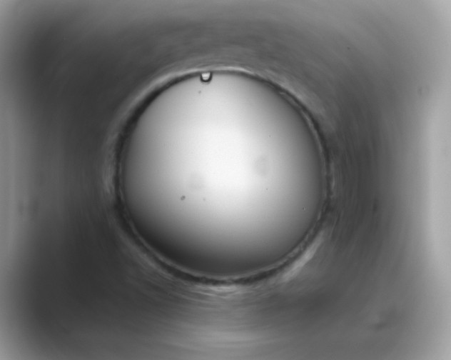 X0000089751502200707051806