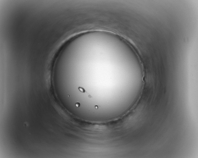 X0000089751503200707051806