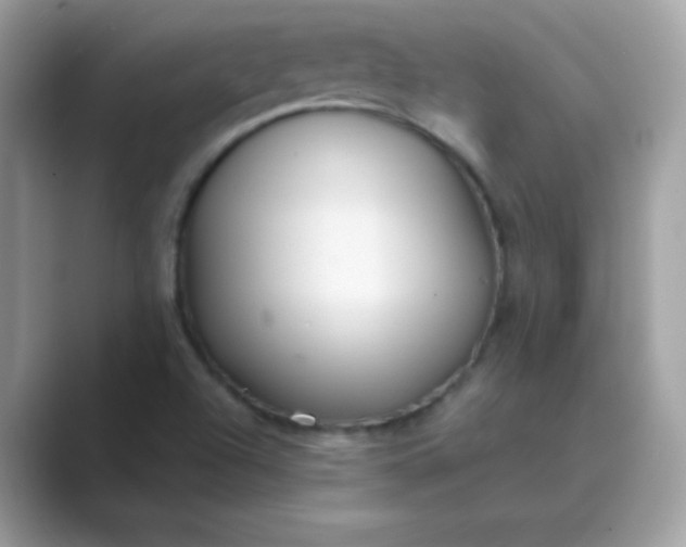 X0000089751504200707051806