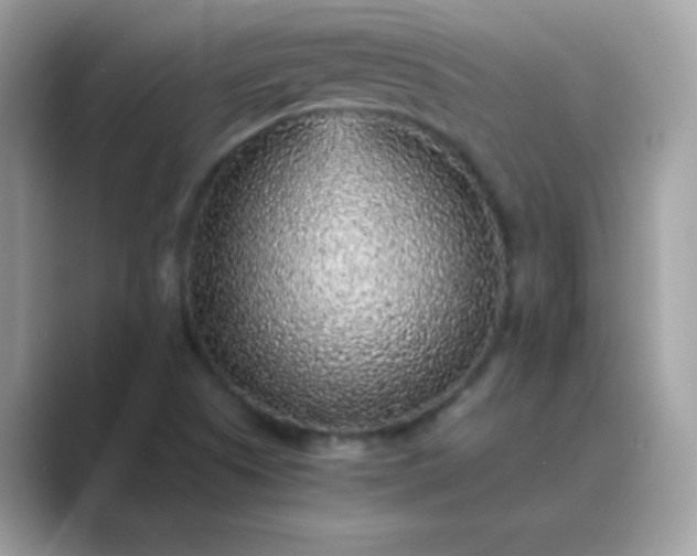 X0000089751505200707051806