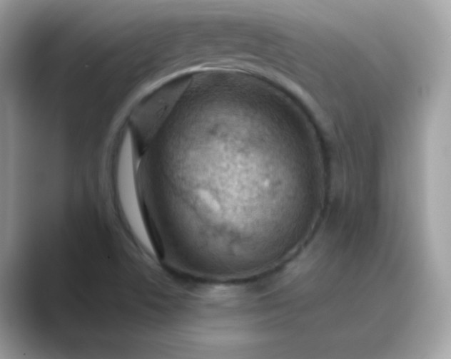 X0000089751506200707051806