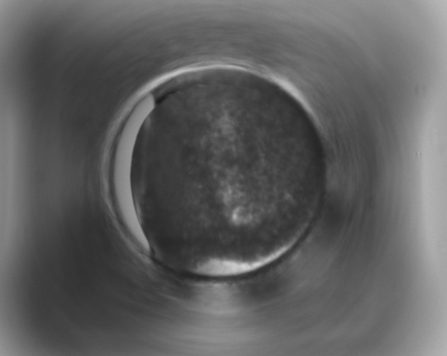 X0000089751508200707051806