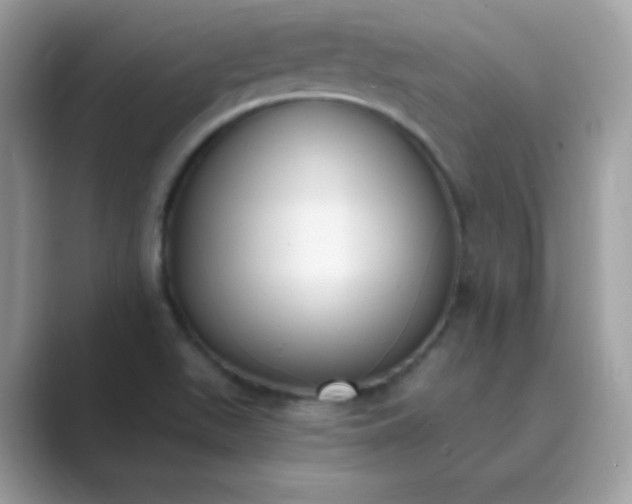 X0000089751511200707051806