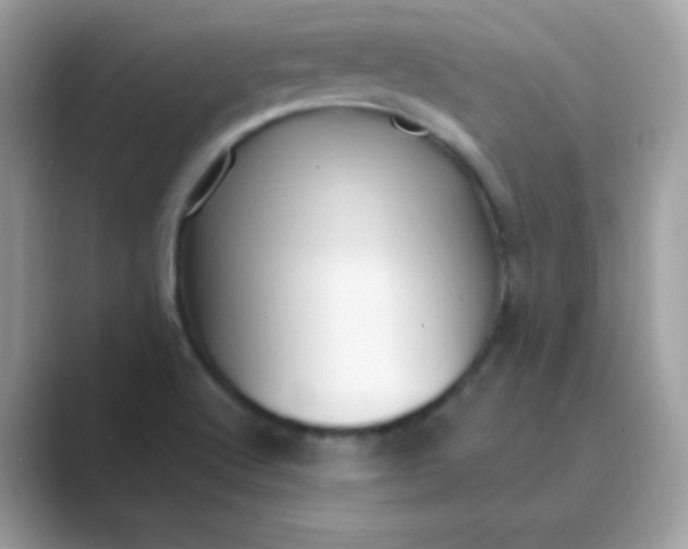 X0000089751512200707051806