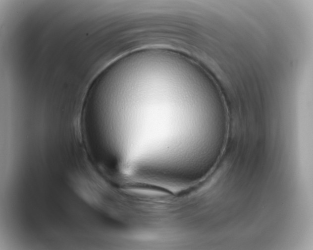 X0000089751513200707051806