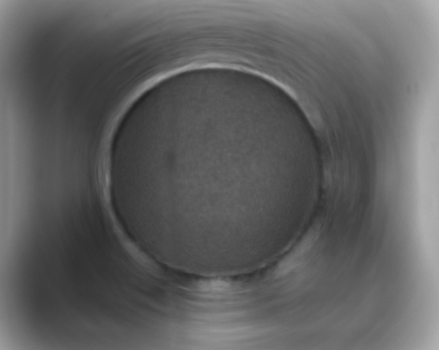 X0000089751515200707051806