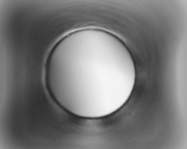 X0000089751518200707051806