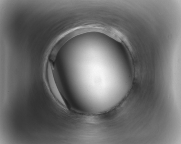 X0000089751520200707051806