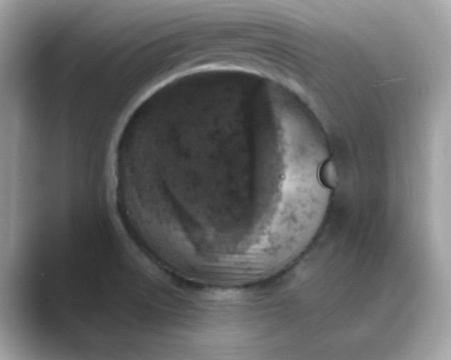 X0000089751522200707051806