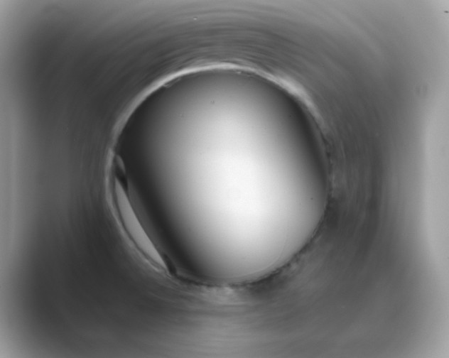 X0000089751524200707051806