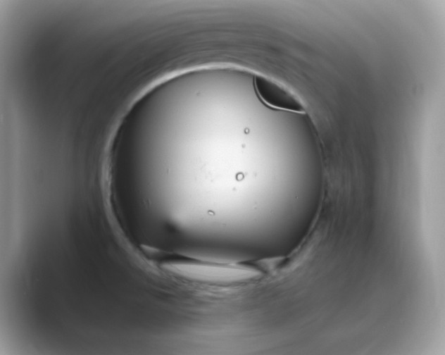 X0000089751526200707051806