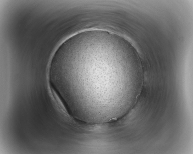 X0000089751530200707051806