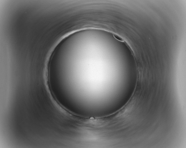 X0000089751531200707051806