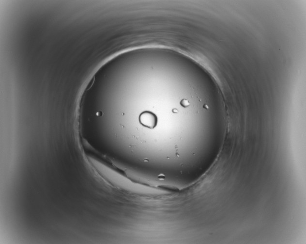 X0000089751532200707051806