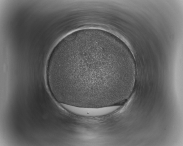 X0000089751533200707051806