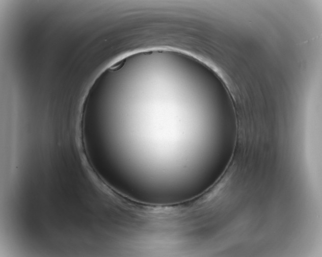 X0000089751534200707051806