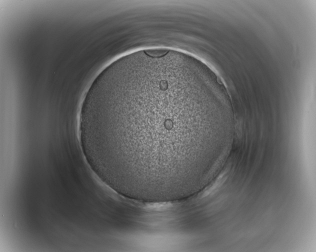 X0000089751535200707051806