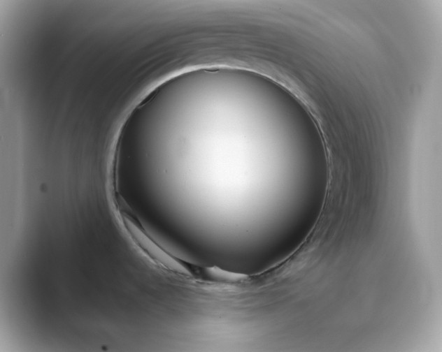 X0000089751536200707051806