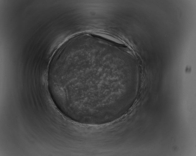 X0000089750002200707121351