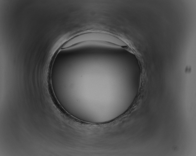 X0000089750007200707121351