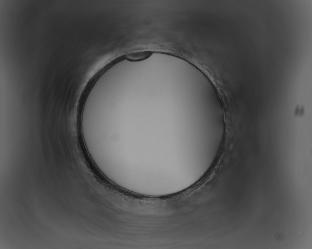 X0000089750008200707121351