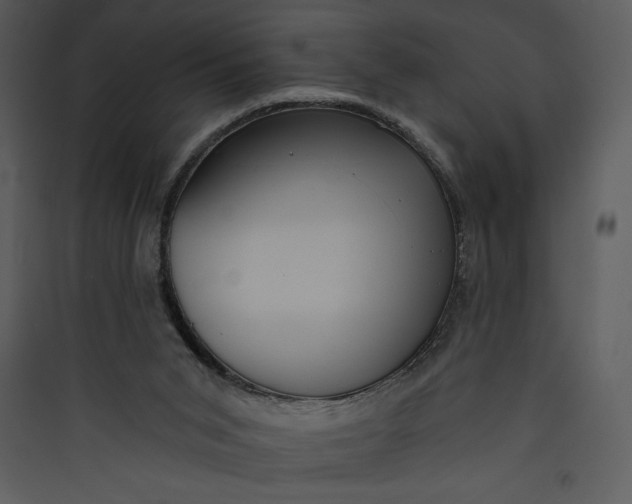 X0000089750015200707121351