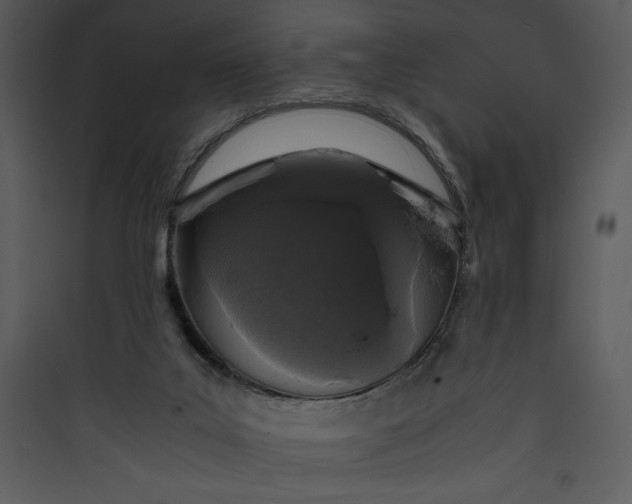 X0000089750019200707121351