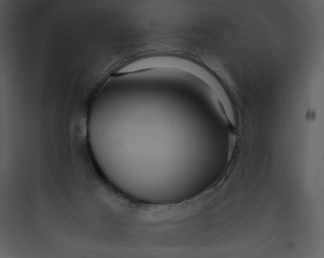 X0000089750021200707121351