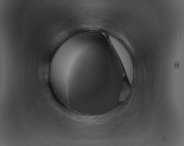 X0000089750023200707121351