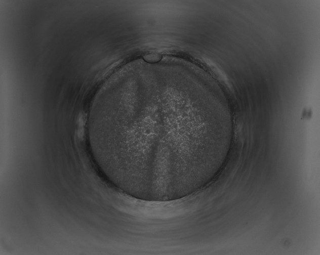 X0000089750026200707121351