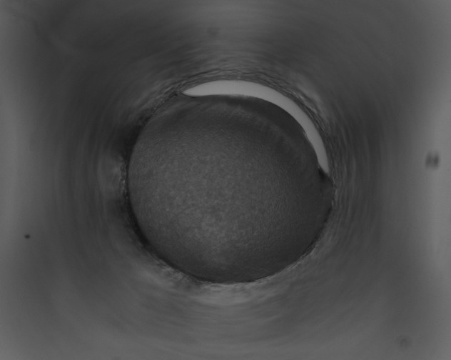 X0000089750029200707121351