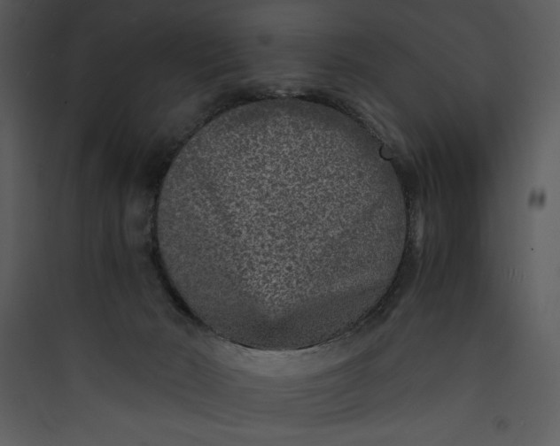 X0000089750030200707121351