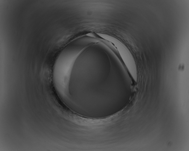 X0000089750031200707121351