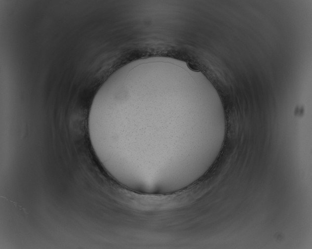 X0000089750034200707121351