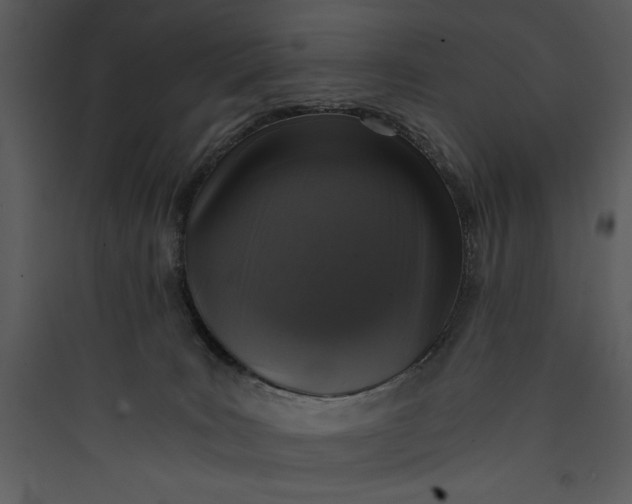 X0000089750035200707121351